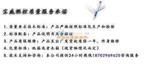 激波吹灰器点火器 锅炉吹灰器点火器 高能点火器bwgd 03