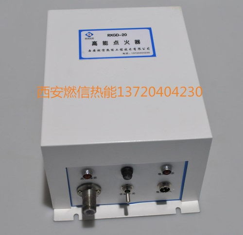 燃信热能供应工业炉高能点火器 沼气点火器