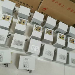 火炬高能点火器 沼气火炬高能点火器tgdq 6h