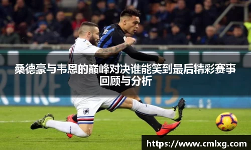 beats365桑德豪与韦恩的巅峰对决谁能笑到最后精彩赛事回顾与分析